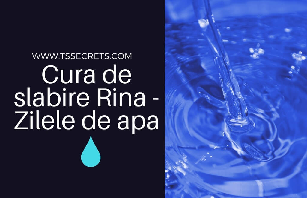 Dieta Rina Ziua 3 | PDF